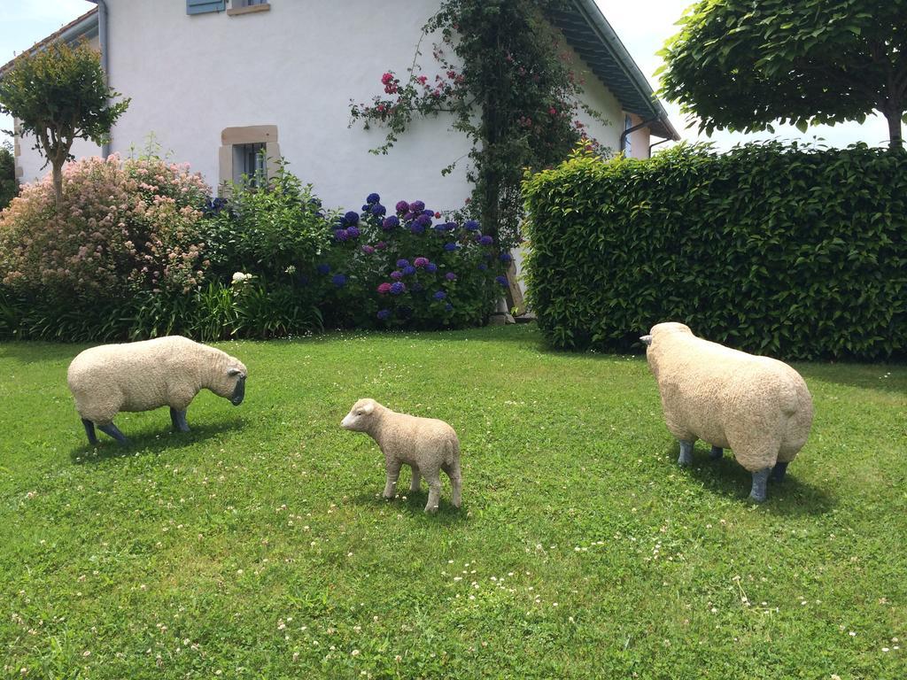 Les Volets Bleus Bed and Breakfast Arcangues Εξωτερικό φωτογραφία