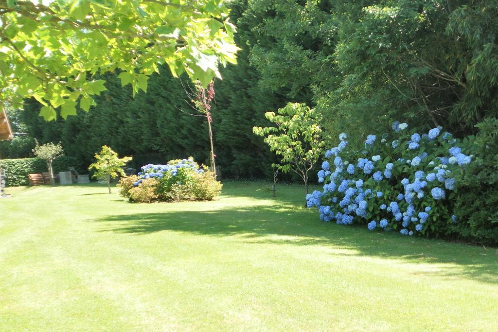 Les Volets Bleus Bed and Breakfast Arcangues Εξωτερικό φωτογραφία
